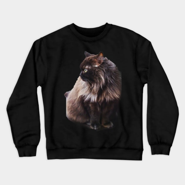 Black cat Crewneck Sweatshirt by daghlashassan